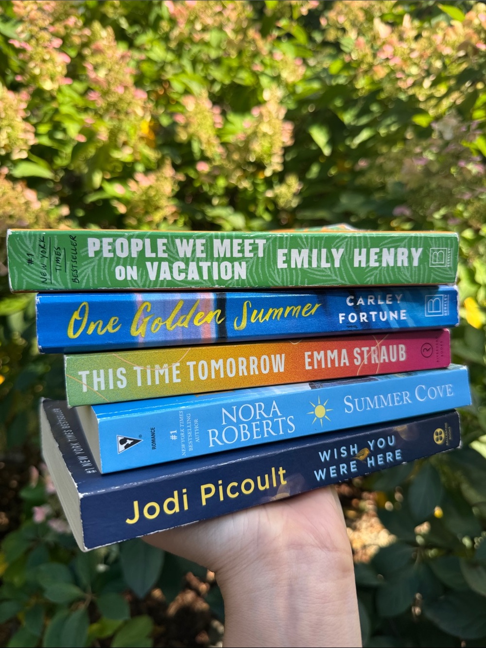 Stack of Assorted Beach Reads
